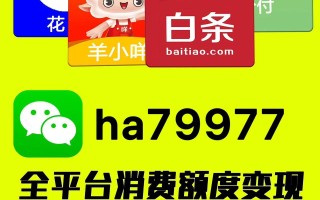 微信分付怎么借钱出来到微信？只需五个步骤，新手一看就会！